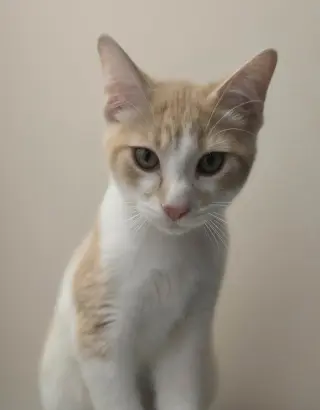 Milton