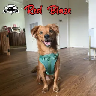 Red Blaze