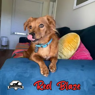Red Blaze