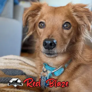 Red Blaze
