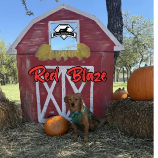 Red Blaze