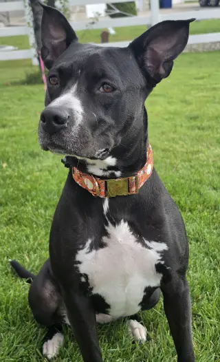 Sassy Marley