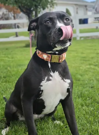 Sassy Marley