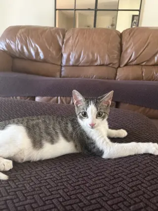 TinyTim