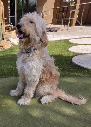 Barkley