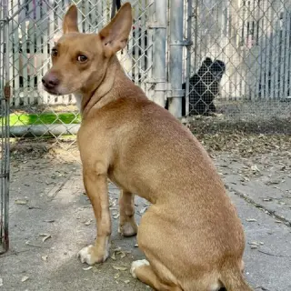 Jude