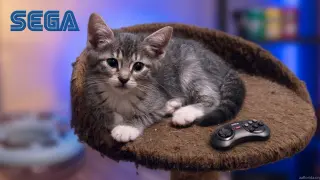 Sega