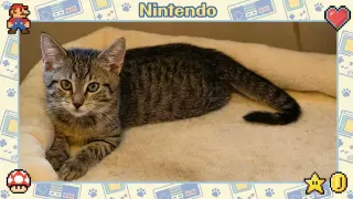 Nintendo