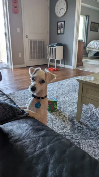Archie