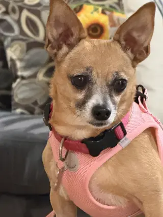 Lucy