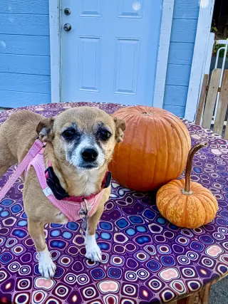 Lucy