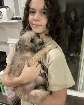 Misu