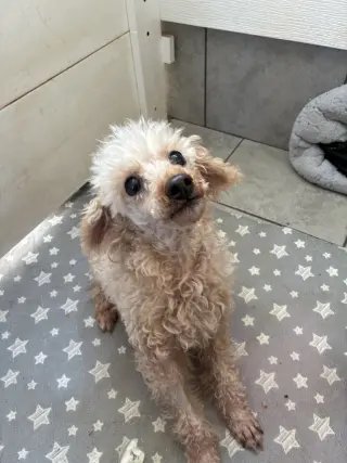 Little Buddy Sep 26