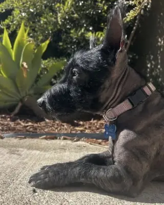 Luna
