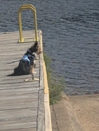 Nori