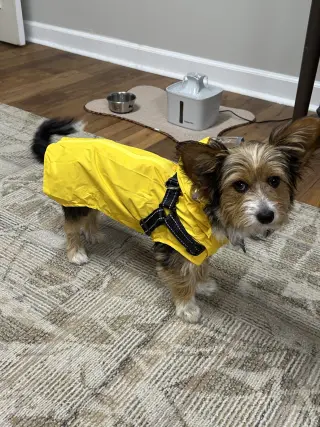 Nori