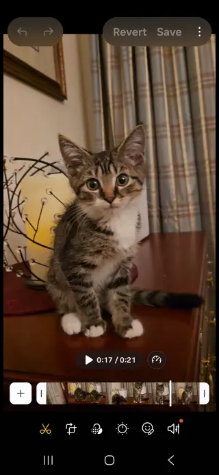 Ollie