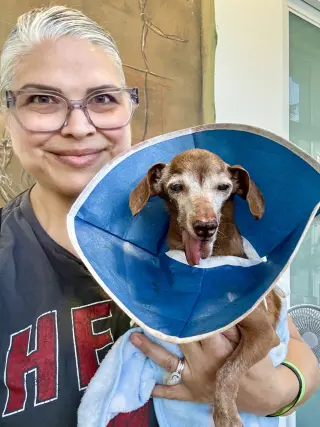 Dolly5 (in Miami, FL)