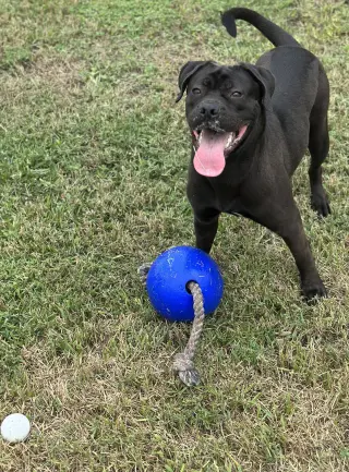 Jonas
