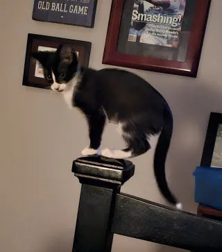 Luna 11.22.23