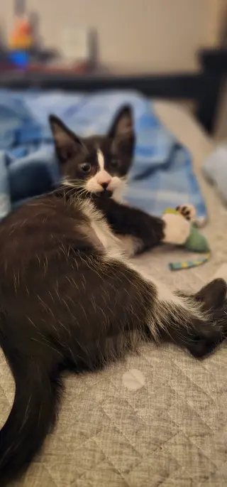 Luna 11.22.23