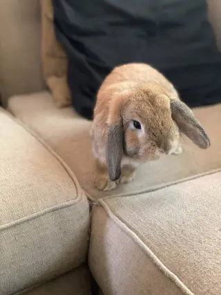 Reginald AKA "Regi"
