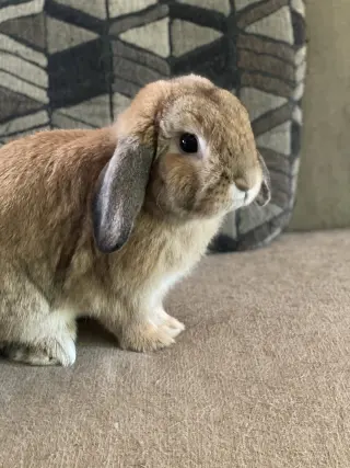 Reginald AKA "Regi"