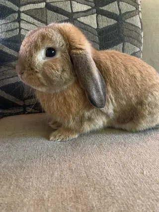Reginald AKA "Regi"