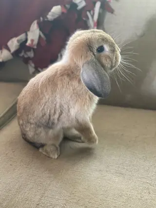 Reginald AKA "Regi"