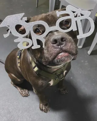 Wally