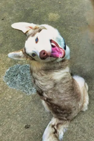 Jinx