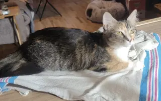 Kit