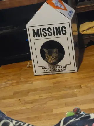 Kat
