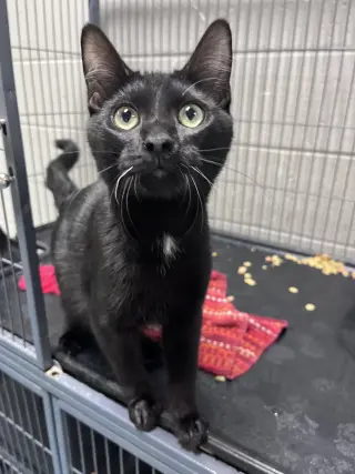 Bruce