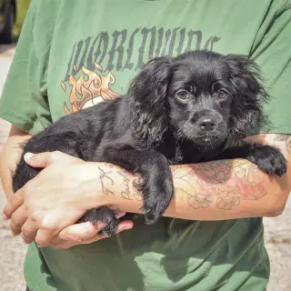 Ernie