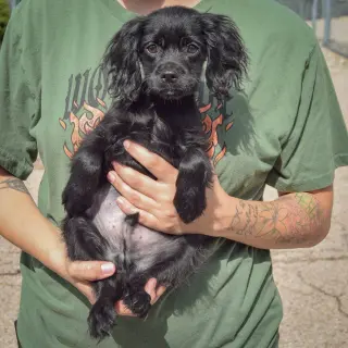 Ernie