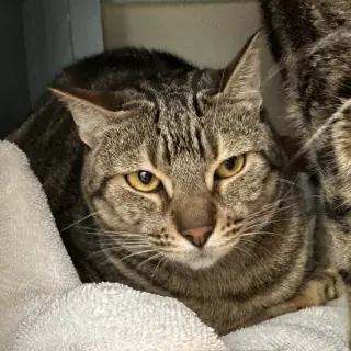 Lili & Vivi