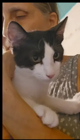 Pouncey