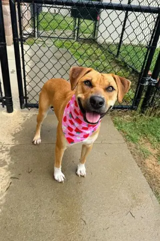MIA