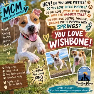 Wishbone