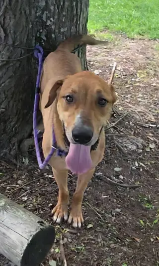 Oscar