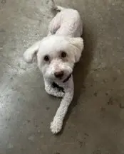 Maggie