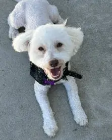 Maggie