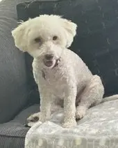 Maggie