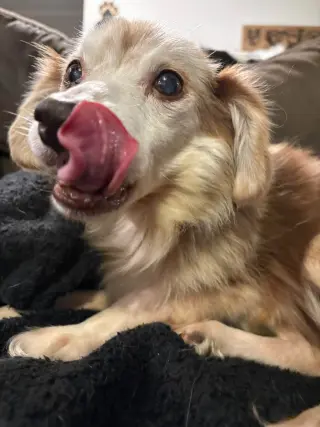 Debbie