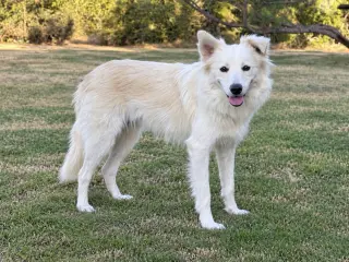 Skye