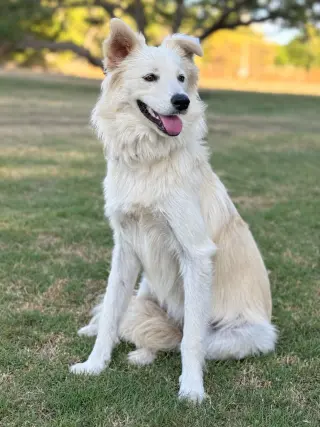 Skye