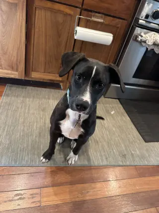 Pluto
