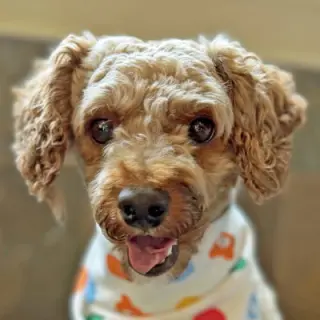 Oliver