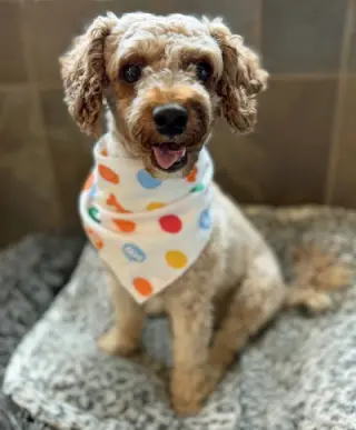 Oliver